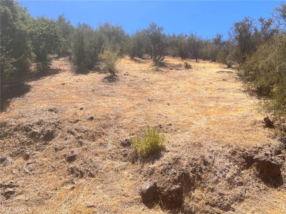 Renee Drive Agoura Hills, CA 91301