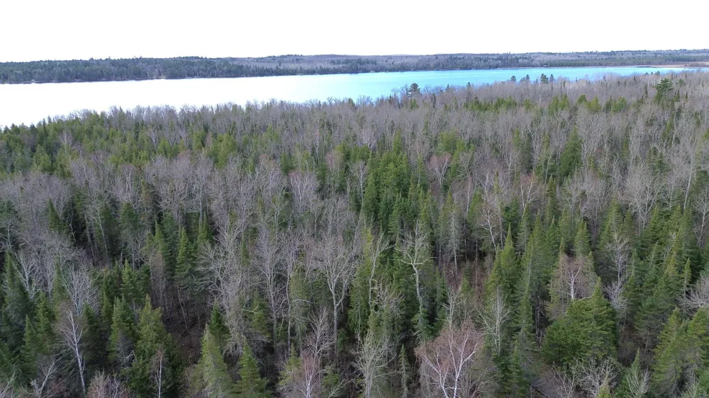 32635 Quail Lane Laporte, MN 56461