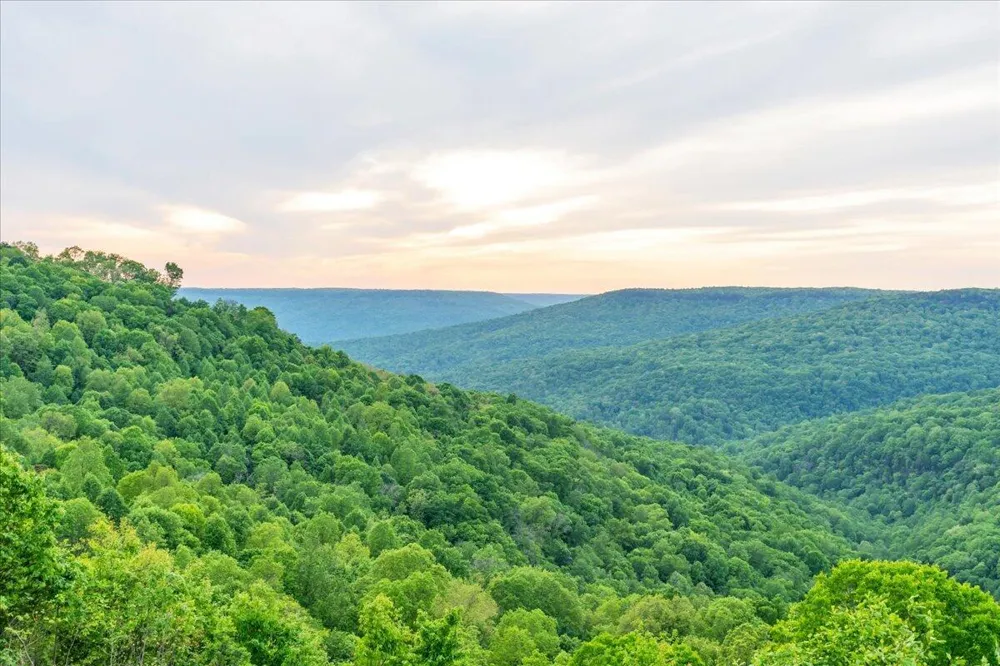 315 Morris Point Lane South Pittsburg, TN 37380