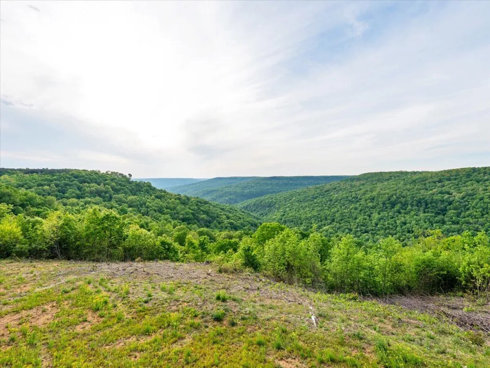 315 Morris Point Lane South Pittsburg, TN 37380