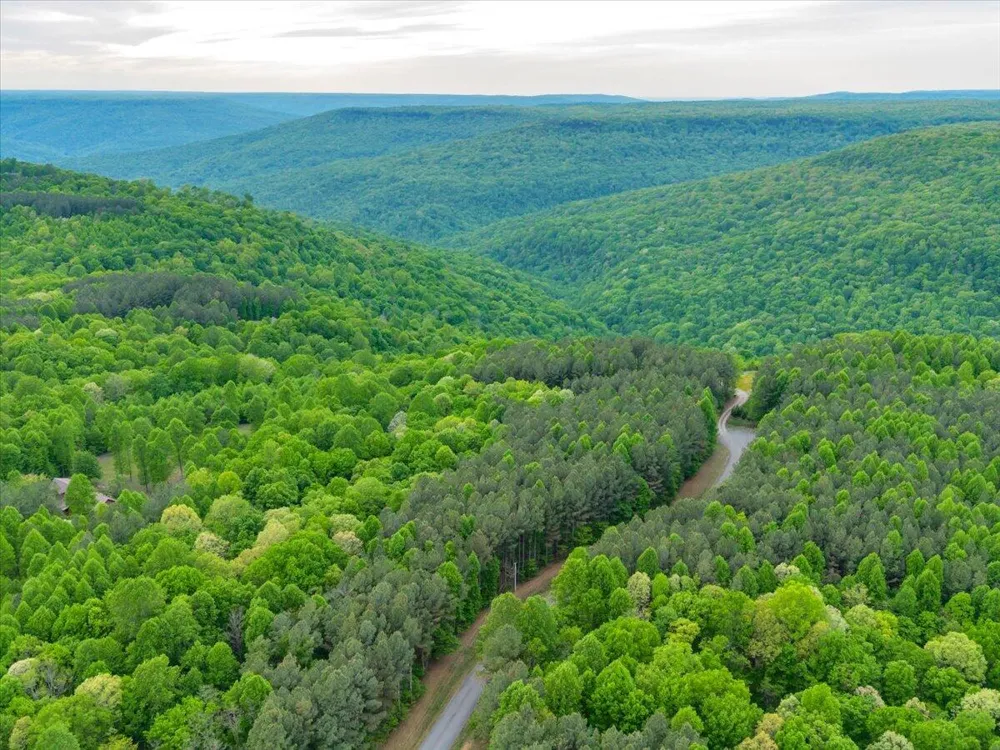 315 Morris Point Lane South Pittsburg, TN 37380