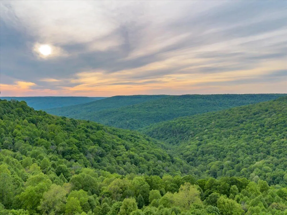 315 Morris Point Lane South Pittsburg, TN 37380