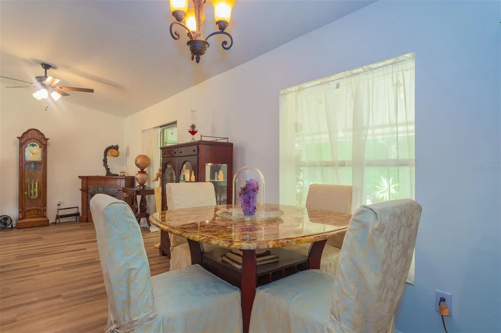 10 SEQUOIA DRIVE TRACE Ocklawaha, FL 32179