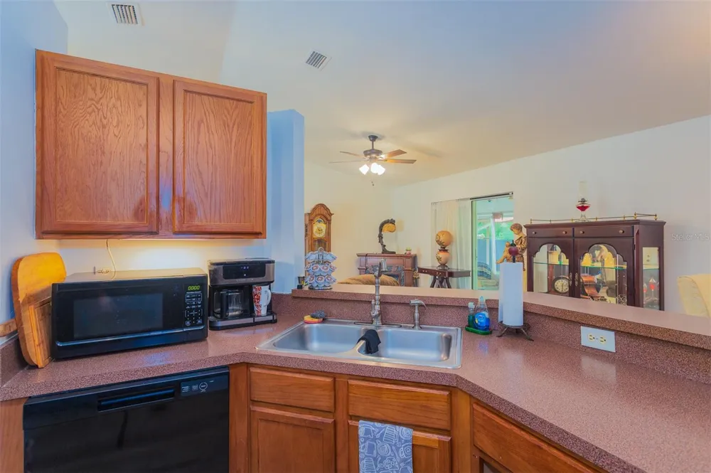 10 SEQUOIA DRIVE TRACE Ocklawaha, FL 32179