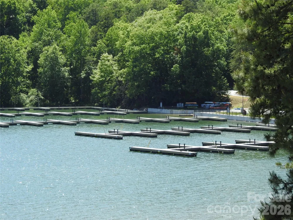 120 Lakewood Drive Lake Lure, NC 28746
