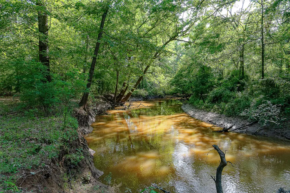 Off of Farm to Market Road 2064 Troup, TX 75789
