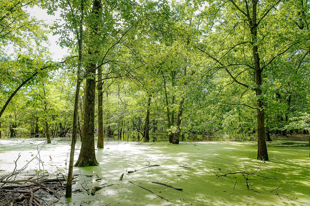 Off of Farm to Market Road 2064 Troup, TX 75789