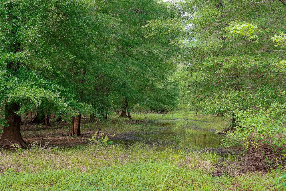 Off of Farm to Market Road 2064 Troup, TX 75789