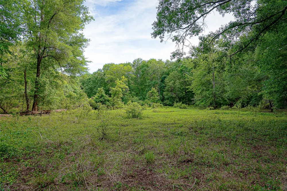 Off of Farm to Market Road 2064 Troup, TX 75789