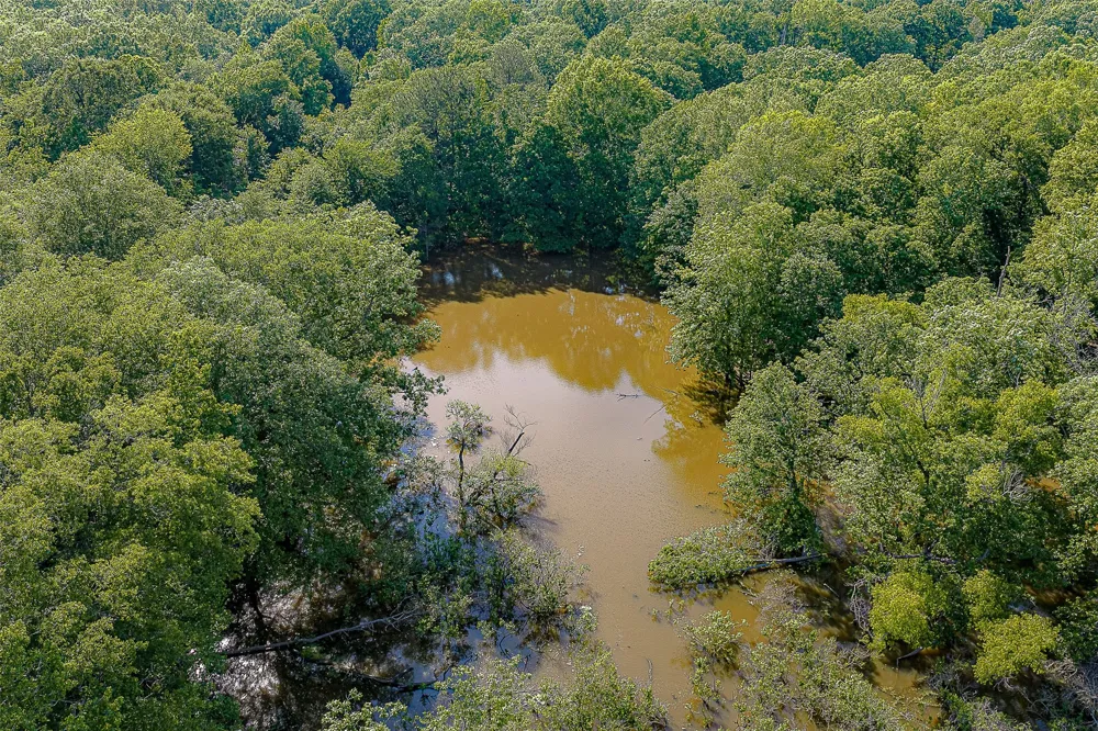 Off of Farm to Market Road 2064 Troup, TX 75789