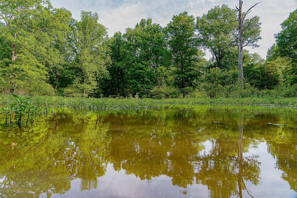 Off of Farm to Market Road 2064 Troup, TX 75789