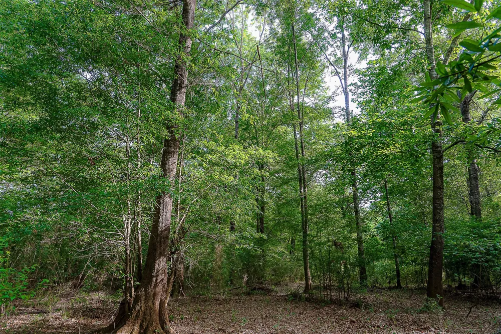 Off of Farm to Market Road 2064 Troup, TX 75789