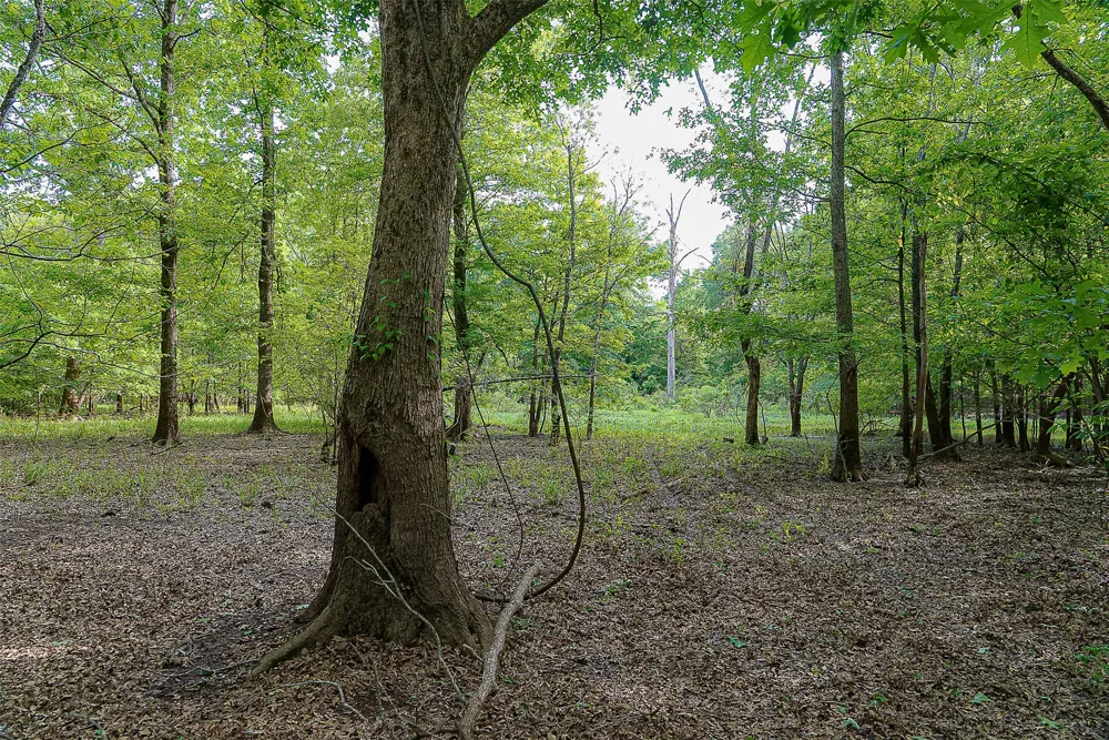Off of Farm to Market Road 2064 Troup, TX 75789