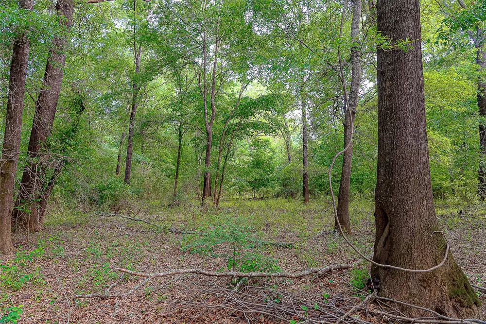 Off of Farm to Market Road 2064 Troup, TX 75789