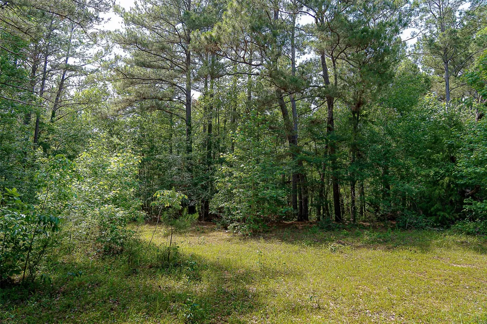 Off of Farm to Market Road 2064 Troup, TX 75789