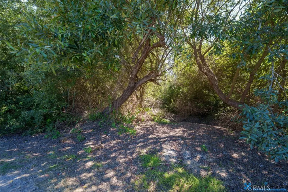 Palace Avenue Oceano, CA 93445