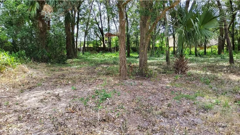 25050 ALGONQUIN AVENUE Mount Plymouth, FL 32776