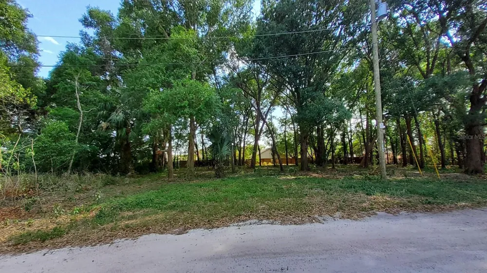 25050 ALGONQUIN AVENUE Mount Plymouth, FL 32776