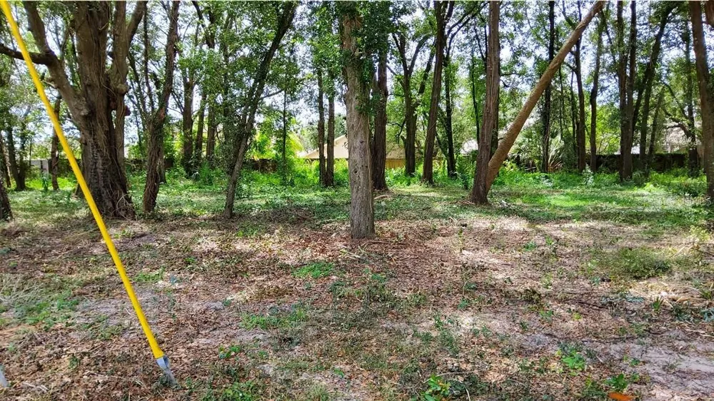 25050 ALGONQUIN AVENUE Mount Plymouth, FL 32776