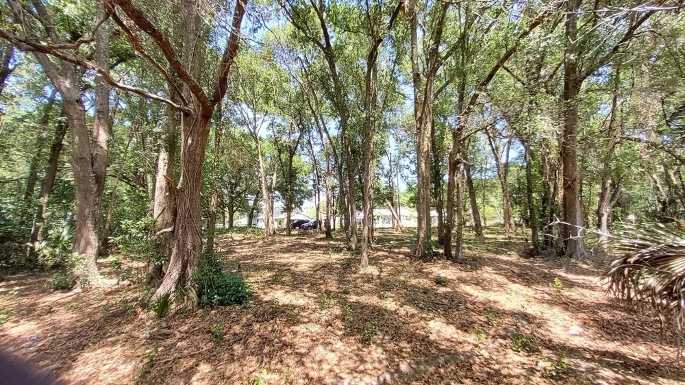 25050 ALGONQUIN AVENUE Mount Plymouth, FL 32776