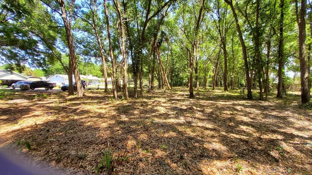 25050 ALGONQUIN AVENUE Mount Plymouth, FL 32776