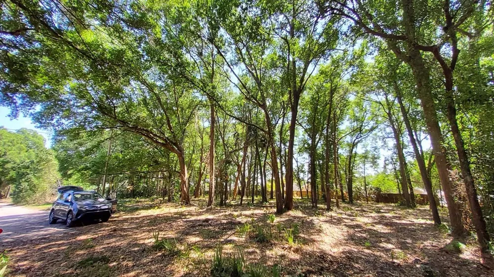 25050 ALGONQUIN AVENUE Mount Plymouth, FL 32776