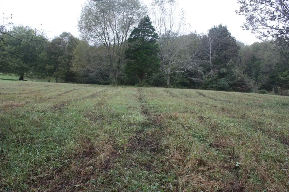 5679 Carters Creek Pike Thompsons Station, TN 37179