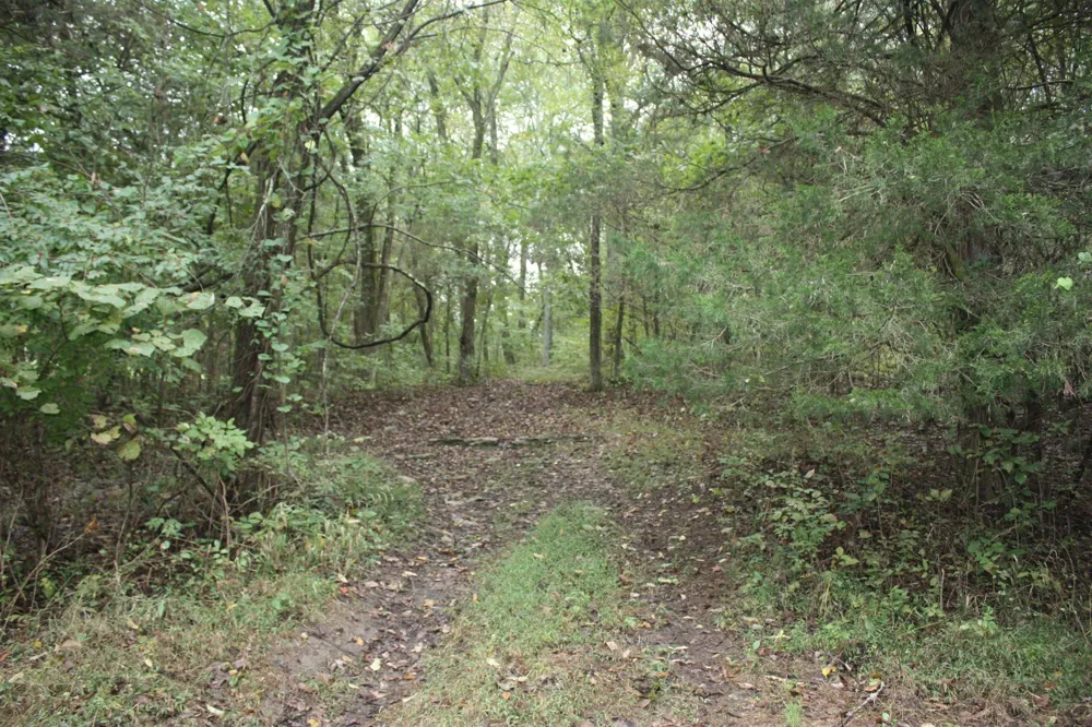 5679 Carters Creek Pike Thompsons Station, TN 37179