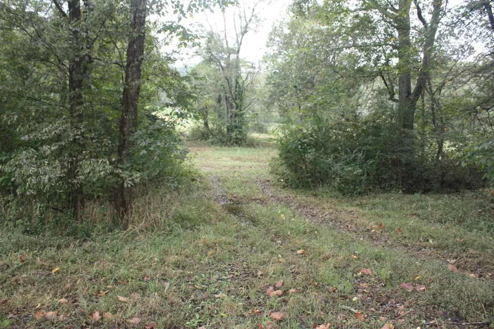 5679 Carters Creek Pike Thompsons Station, TN 37179