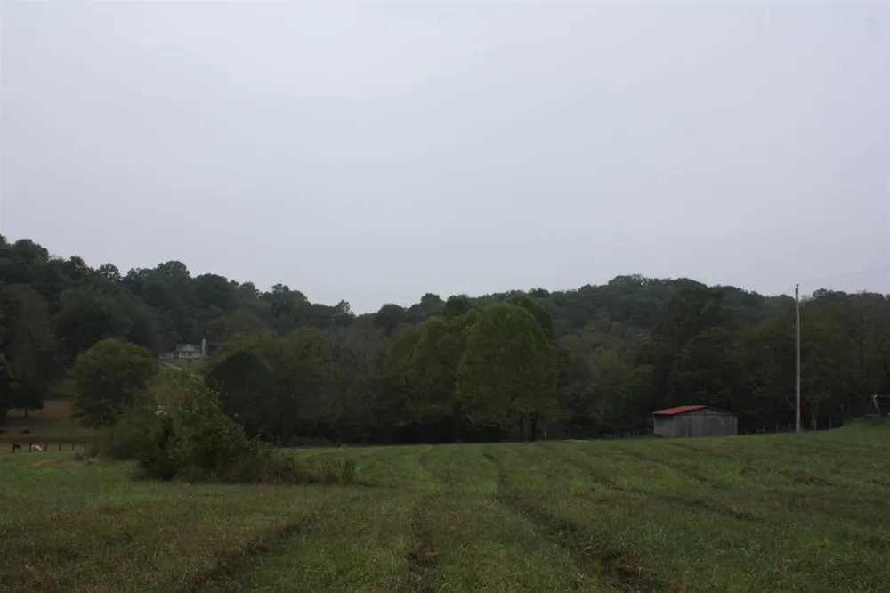 5679 Carters Creek Pike Thompsons Station, TN 37179