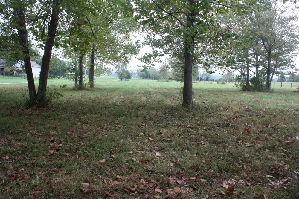 5679 Carters Creek Pike Thompsons Station, TN 37179