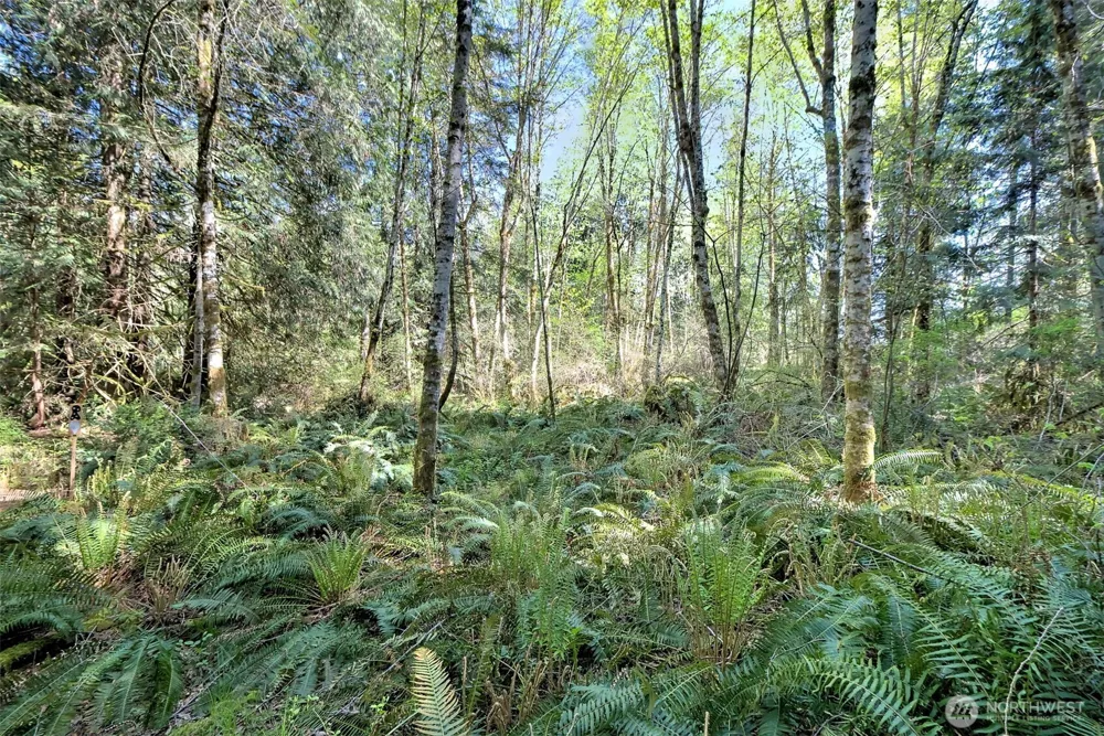 19381 E State Highway 3 Allyn, WA 98524