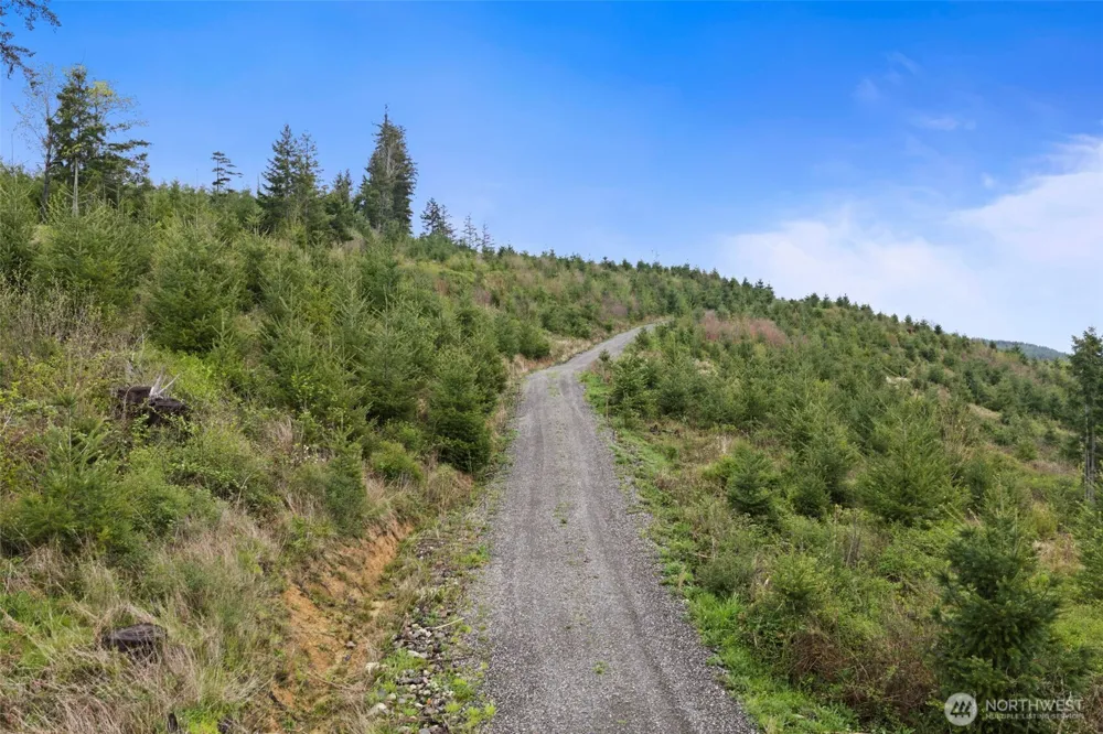 1785 Big Hanaford Road Centralia, WA 98531