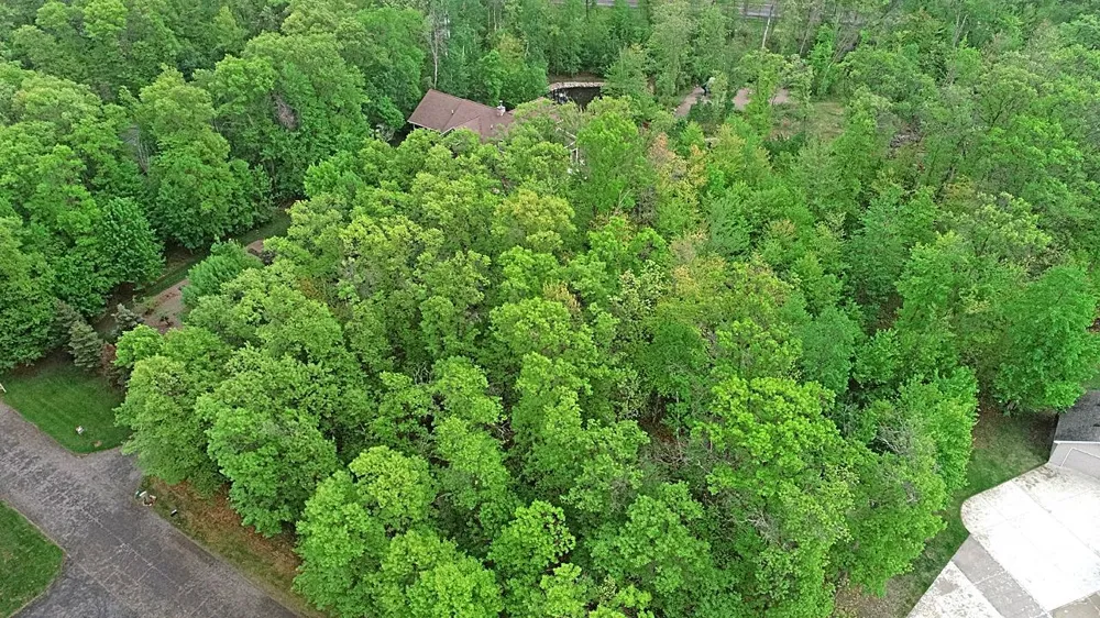 XXX Maplewood Drive East Gull Lake, MN 56401