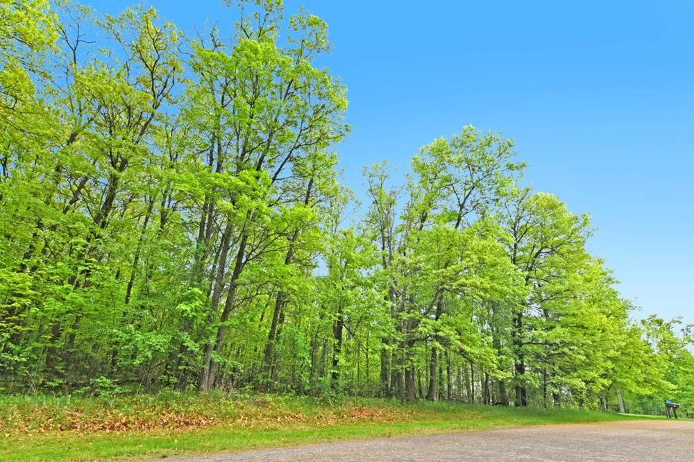 XXX Maplewood Drive East Gull Lake, MN 56401