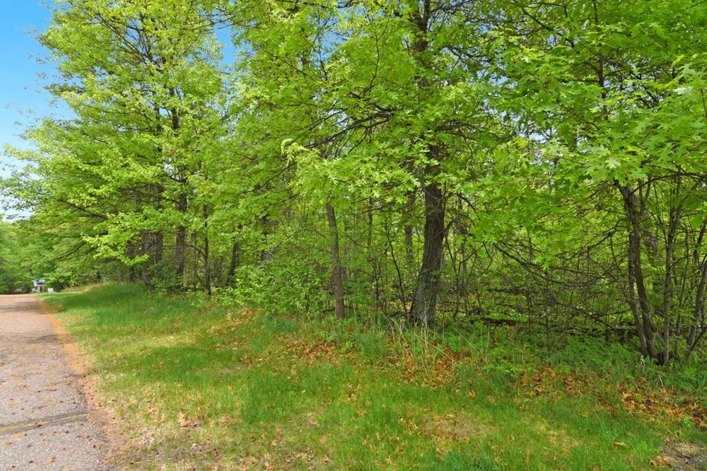 XXX Maplewood Drive East Gull Lake, MN 56401