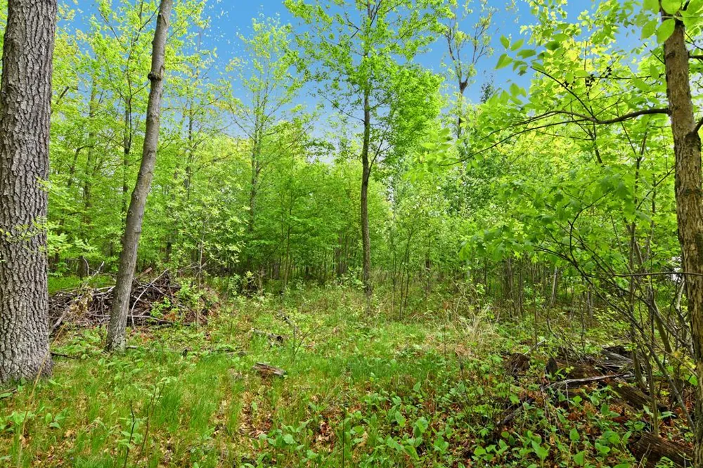 XXX Maplewood Drive East Gull Lake, MN 56401