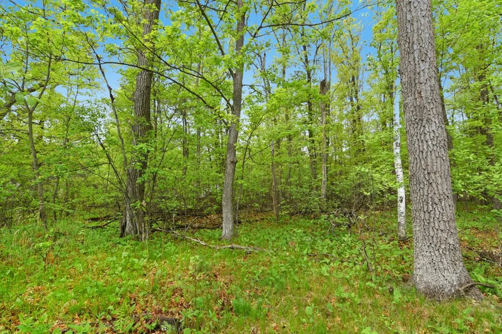 XXX Maplewood Drive East Gull Lake, MN 56401