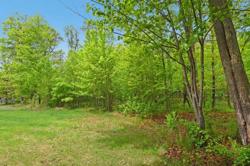 XXX Maplewood Drive East Gull Lake, MN 56401