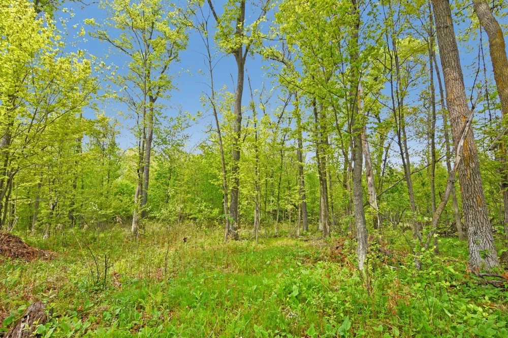 XXX Maplewood Drive East Gull Lake, MN 56401