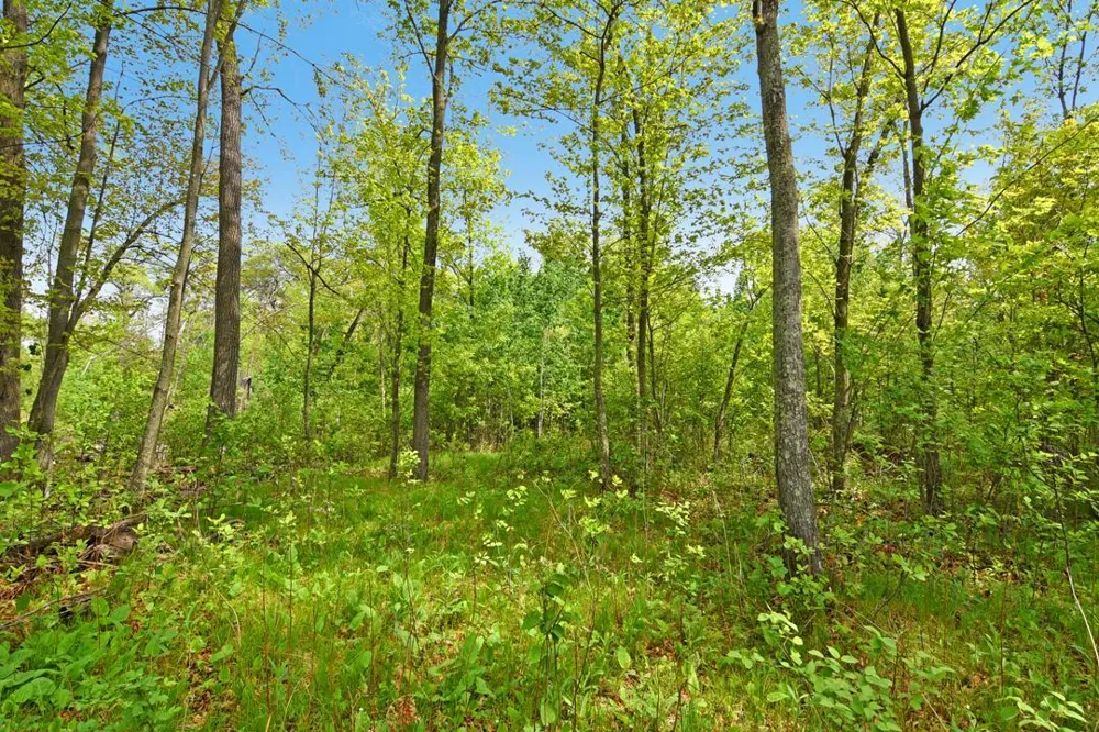 XXX Maplewood Drive East Gull Lake, MN 56401
