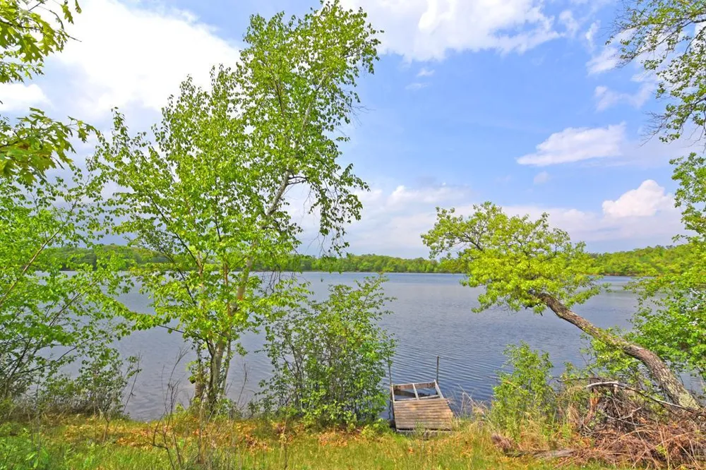 XXX Maplewood Drive East Gull Lake, MN 56401