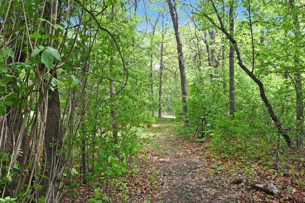 XXX Maplewood Drive East Gull Lake, MN 56401