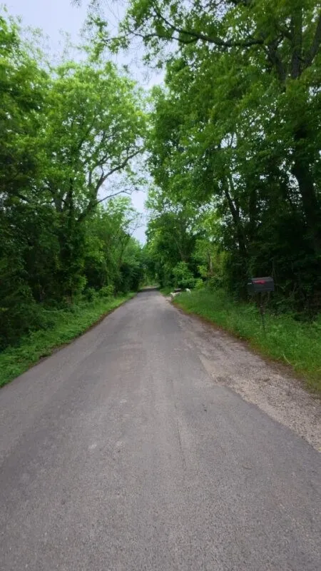 2266 County Road 2266