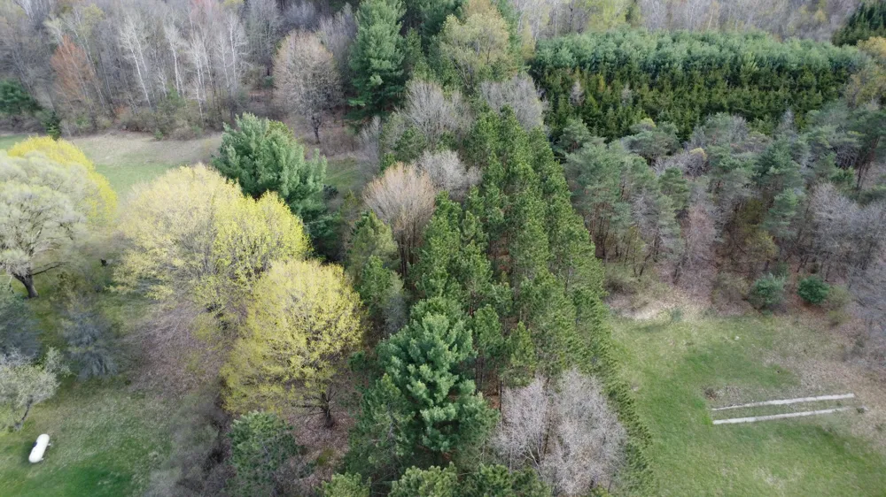 6455 E Rossel Lake Road Walkerville, MI 49459