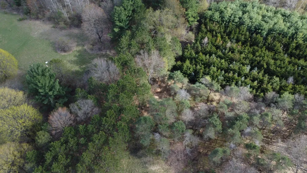 6455 E Rossel Lake Road Walkerville, MI 49459