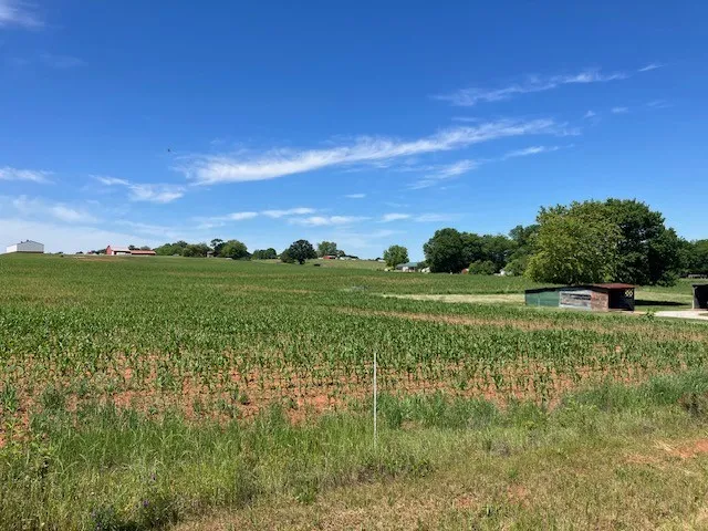 0 Wilder Rd Hillsboro, TN 37342