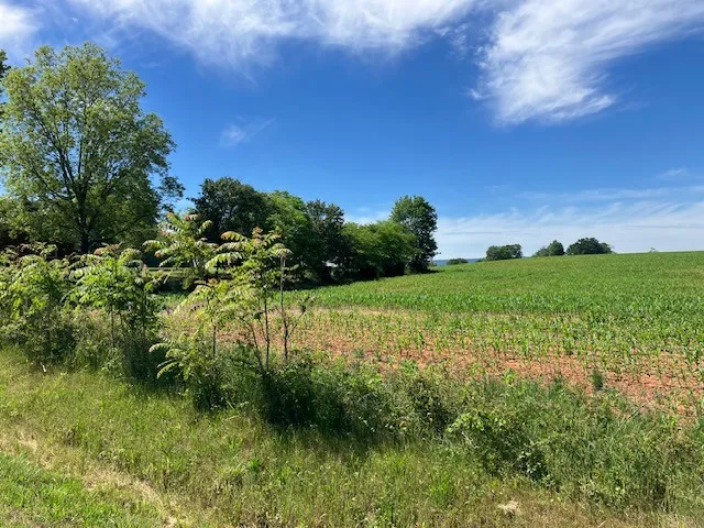 0 Wilder Rd Hillsboro, TN 37342