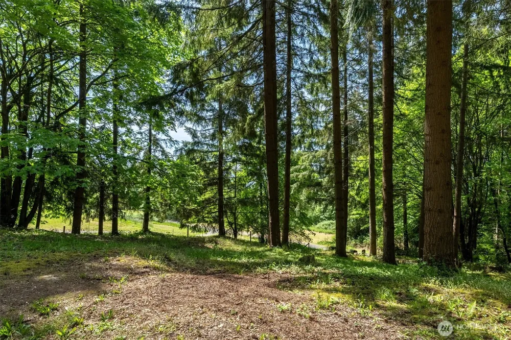 120 Solo Meadows Lane Longview, WA 98632