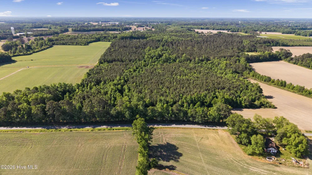 26 Acres High School Road Teachey, NC 28464